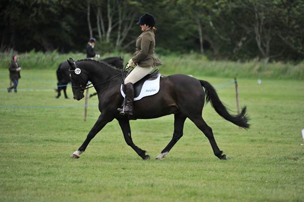 Lorna riding Marco in the British Riding Clubs National Championships Area 22 Qualifiers 