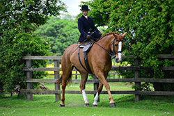 rachael jayne barker side saddle