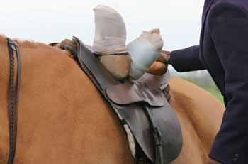 saddle