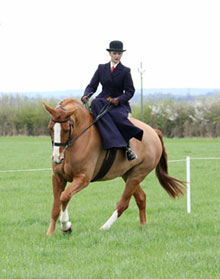 side saddle ride