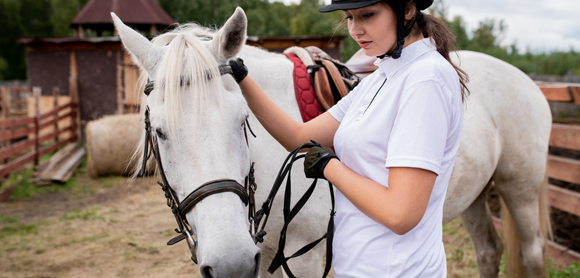 Equine vet's complete guide to worming your horse