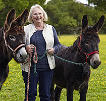 Heather Armstrong, Gambia Horse and Donkey Trust, Surrey