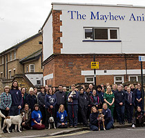 The Mayhew Animal Home, London