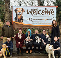 Merseyside Dogs Home 