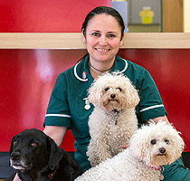 Rachel Radwell, Wood Green, The Animals Charity - Godmanchester, Cambridgeshire