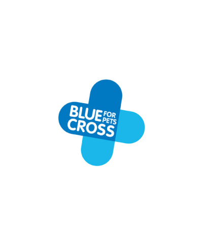 The Blue Cross Logo
