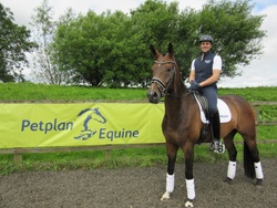 Perfect Your Performance with Petplan Equine