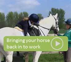 Bringing your horse back to work