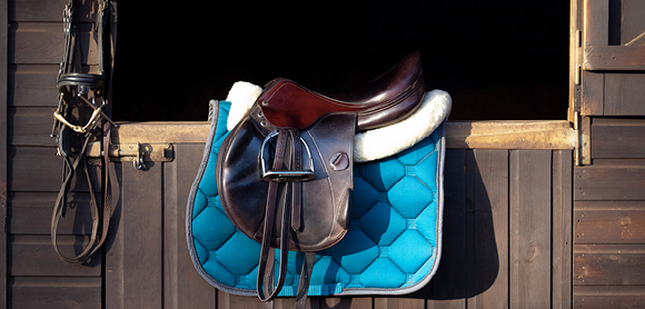Does your horse’s saddle fit?
