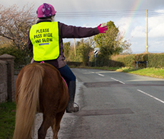 Horse Road Safety