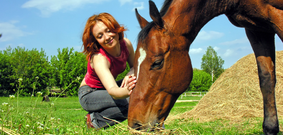 Equine Grass Sickness 101: How to protect your horse