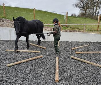 clockwork poles exercise - 1