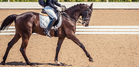 How to maximise your dressage marks (even on a hack!)