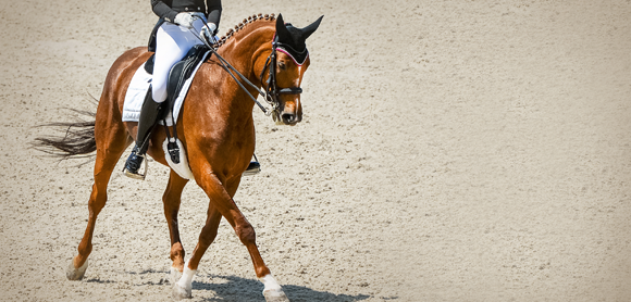 How to maximise your dressage marks: Balance, suppleness and collection