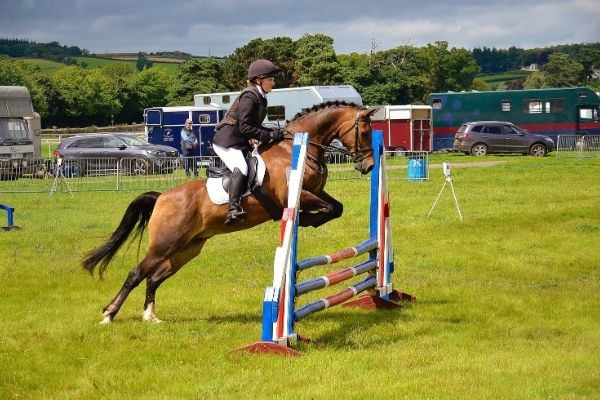 pony showjumping