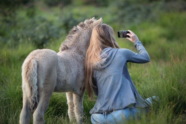 woman with foal 