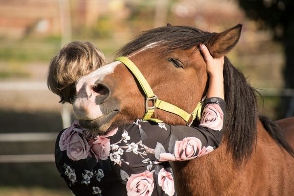 woman hugging horse