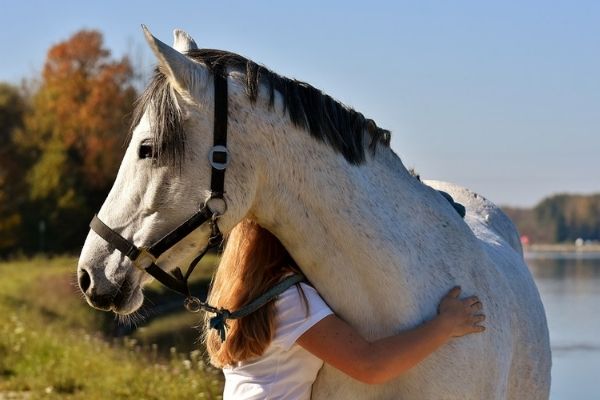 woman hugging a white horse