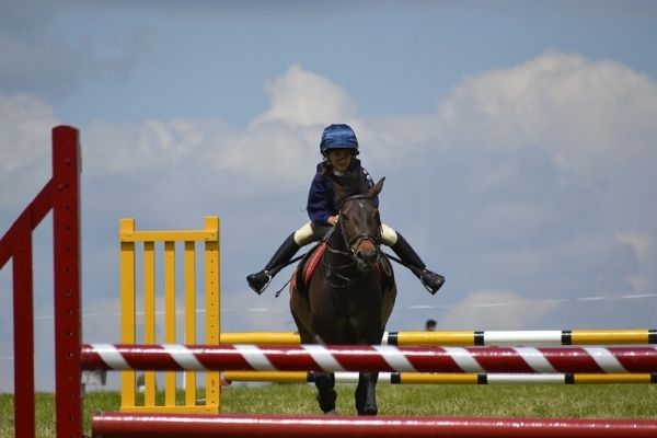 horse being ridden