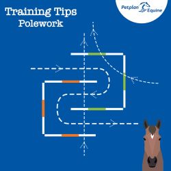 the interlocking s bend training tip
