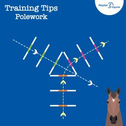 the triangle training tip