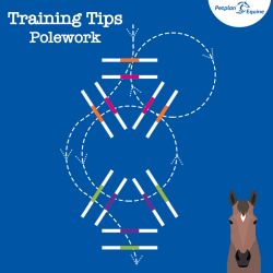 the double triangle training tip
