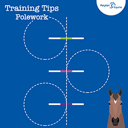 the centre line circles training tip