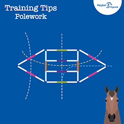 the two points training tip