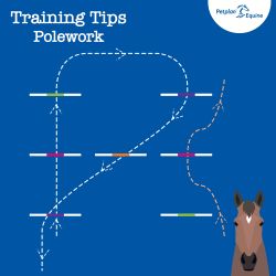 the diagonals training tip