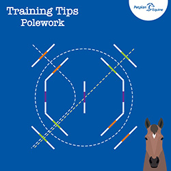 the flying changes training tip