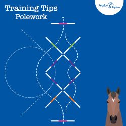 the criss cross training tip