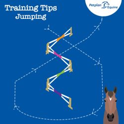 the zig zag training tip