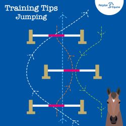 the offset three training tip