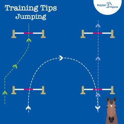 the square training tip