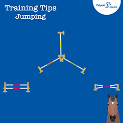 the compact course training tip