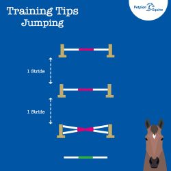 the simple grid training tip