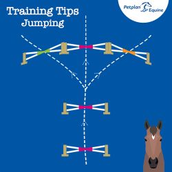 the y grid training tip