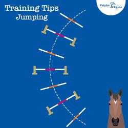 the curved grid training tip