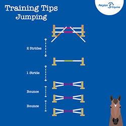 the gymnastic grid training tip