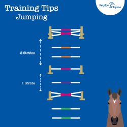 the confidence giving grid training tip