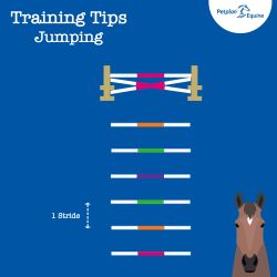 the rushing grid training tip