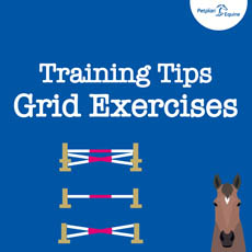 Grid Work Exercises thumb img