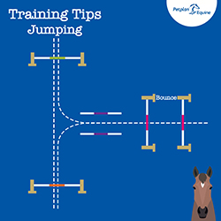 Jumping Exercises: The Landing Lead Test img