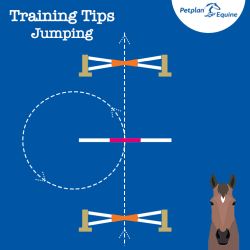 Jumping Exercises: The Related Distance Circle img
