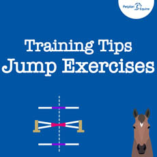 Jump Exercises thumb img