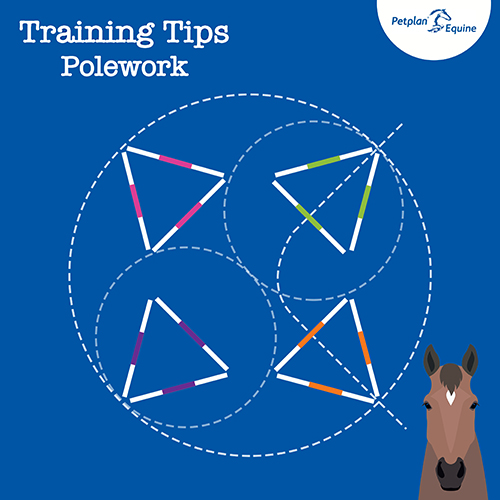 LARGE IDEAL EQUESTRIAN SAFETY DRIVING TRIANGLE 