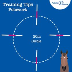 Pole Work Exercises: The 20m Circle img