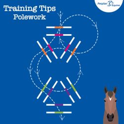 Pole Work Exercises: The Double Triangle img
