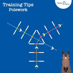 Pole Work Exercises: The Triangle img