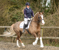 Maximise your marks